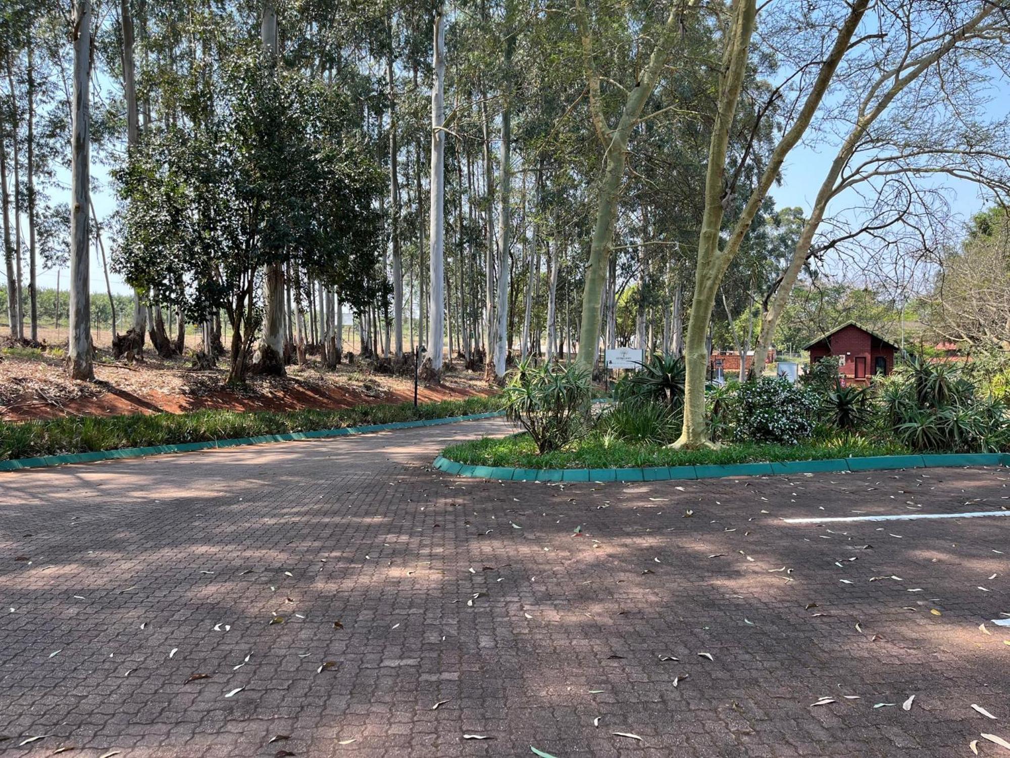 Thyme Inn On Greenway وايت ريفر المظهر الخارجي الصورة